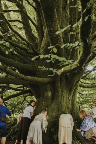 Grail codes spiritual journey to avalon and beyond, dartmoor, 4