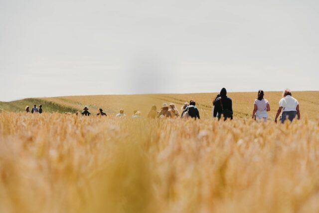 Grail Codes - Spiritual Retreat in Avalon and Beyond, West Kennneth Long Barrow