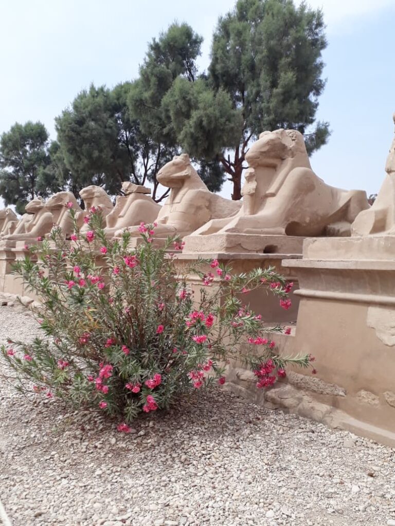 ÉvZáró-ÉvNyitó Utazás Egyiptomban, Karnak